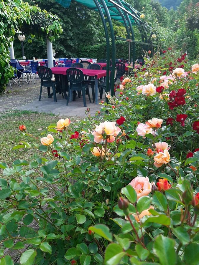 Da Gianni Hotel Zogno Екстер'єр фото